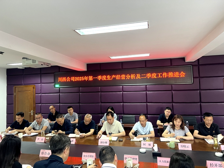 20250507川西公司組織召開2025年第一季度生產(chǎn)經(jīng)營分析及二季度工作推進會_副本.jpg